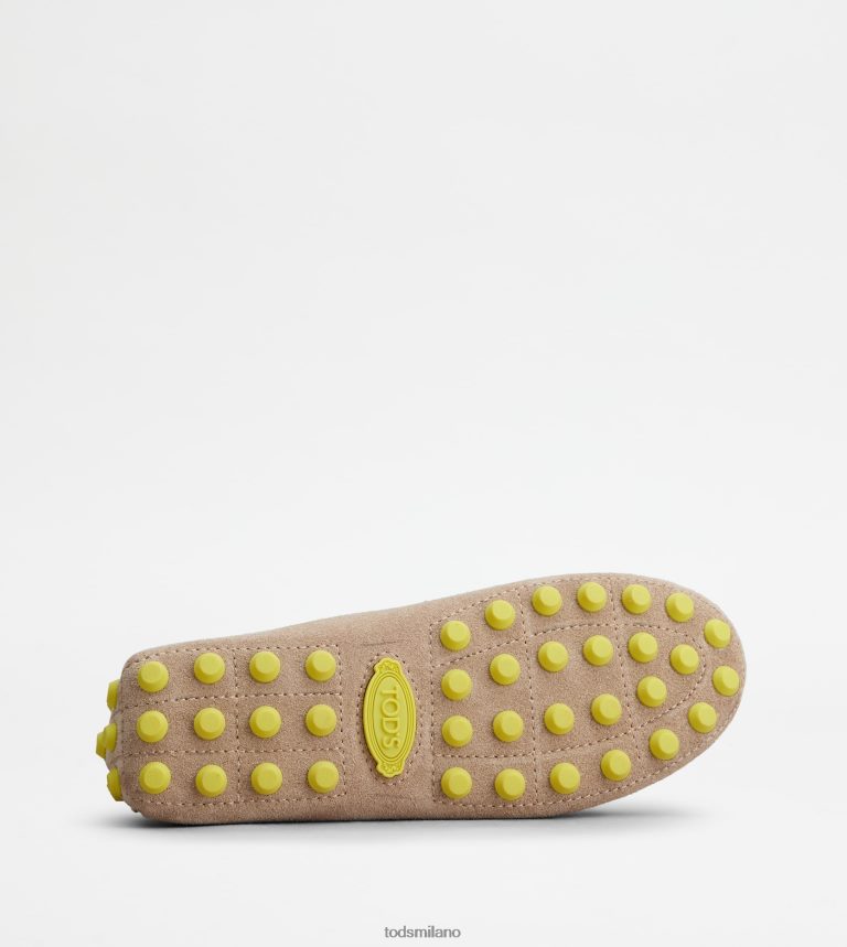 donnebeige/giallo Tod's gommino a bolle in camoscio P66X8B84