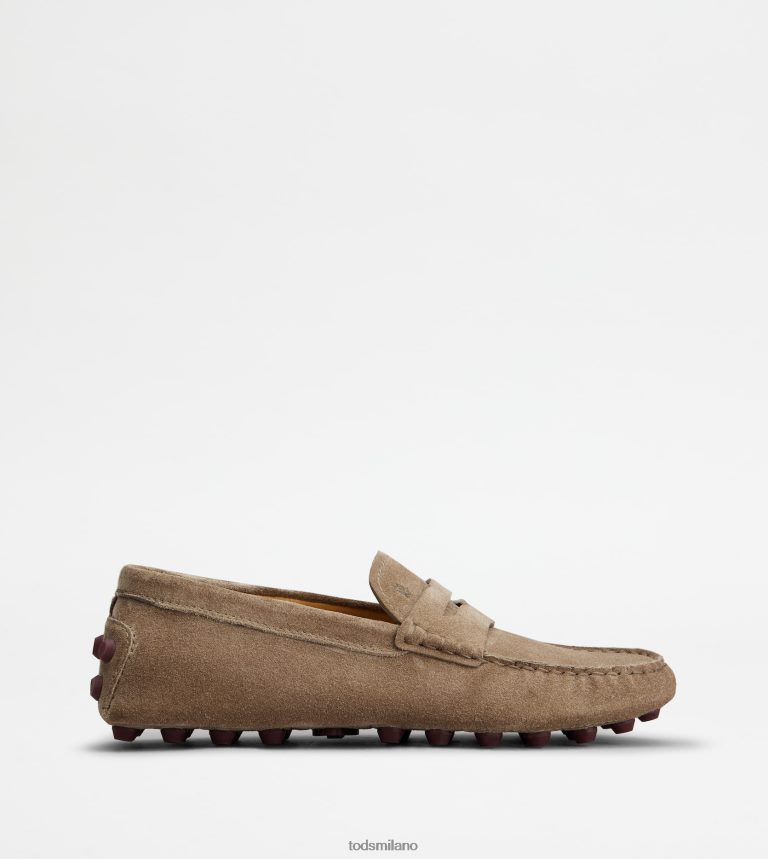 donnemarrone/bordeaux Tod's gommino a bolle in camoscio P66X8B86