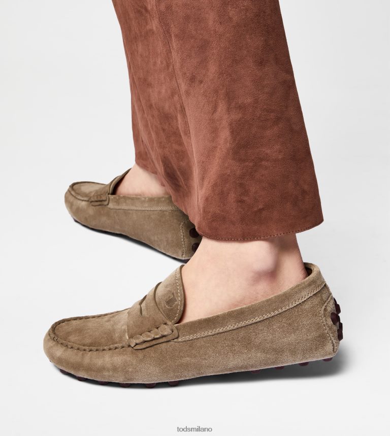 donnemarrone/bordeaux Tod's gommino a bolle in camoscio P66X8B86