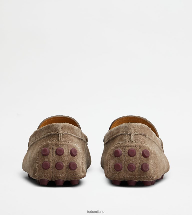 donnemarrone/bordeaux Tod's gommino a bolle in camoscio P66X8B86