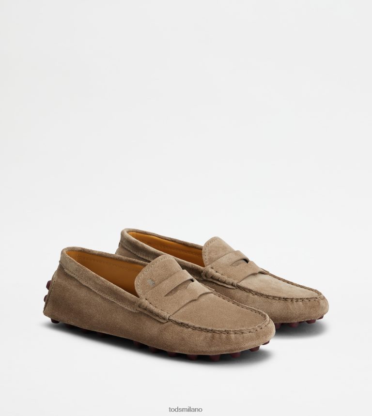 donnemarrone/bordeaux Tod's gommino a bolle in camoscio P66X8B86