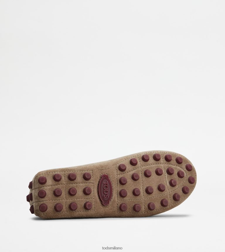 donnemarrone/bordeaux Tod's gommino a bolle in camoscio P66X8B86