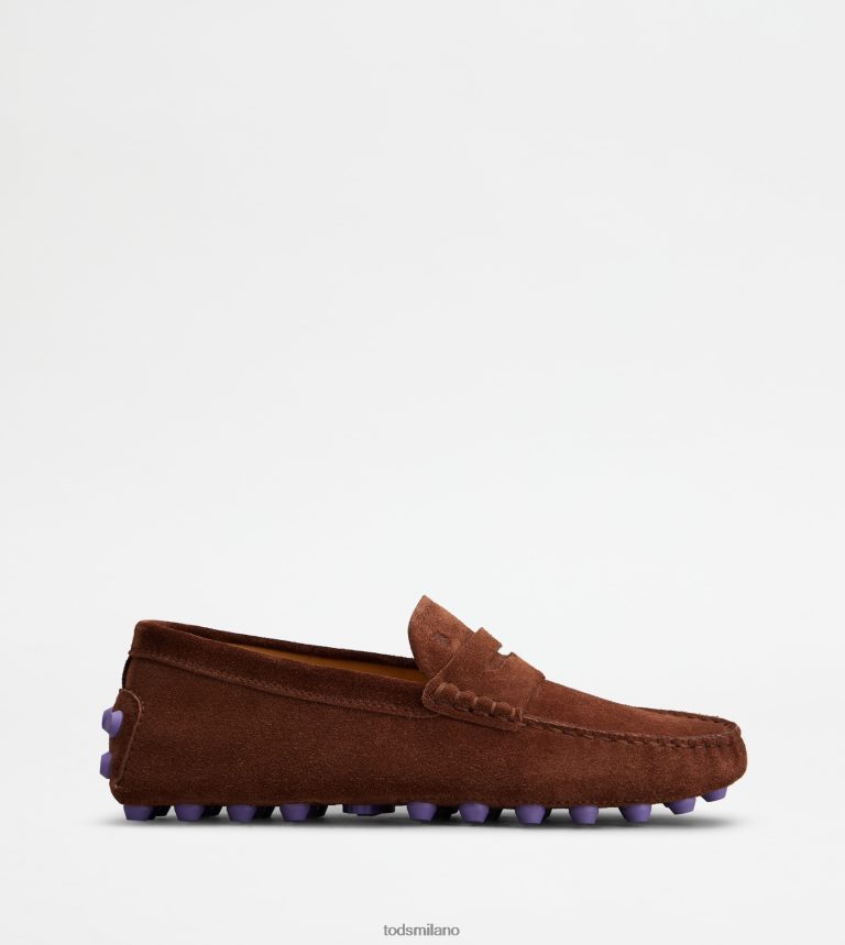 donnemarrone/viola Tod's gommino a bolle in camoscio P66X8B85