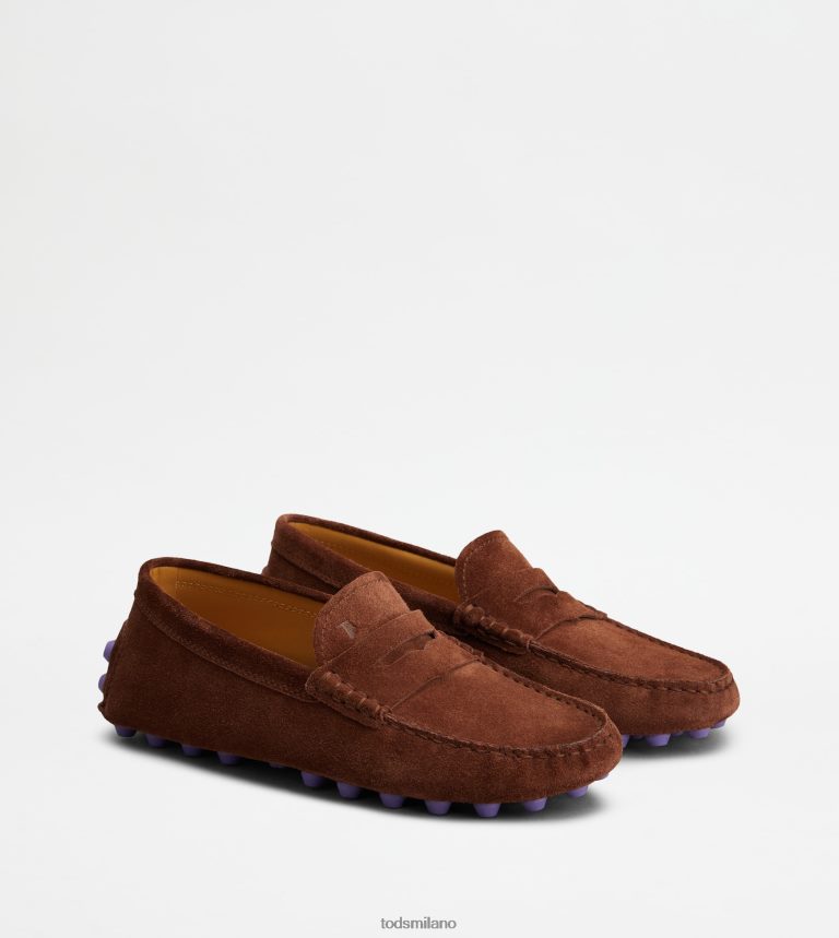 donnemarrone/viola Tod's gommino a bolle in camoscio P66X8B85