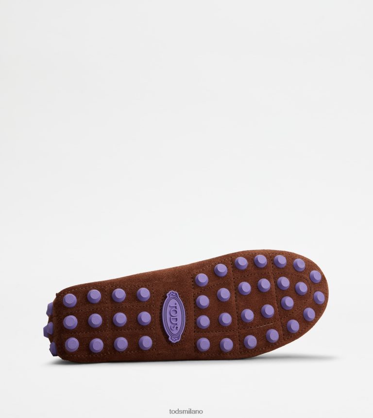 donnemarrone/viola Tod's gommino a bolle in camoscio P66X8B85