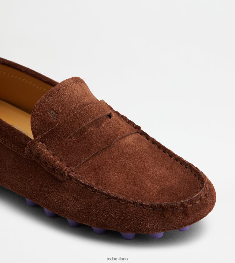 donnemarrone/viola Tod's gommino a bolle in camoscio P66X8B85