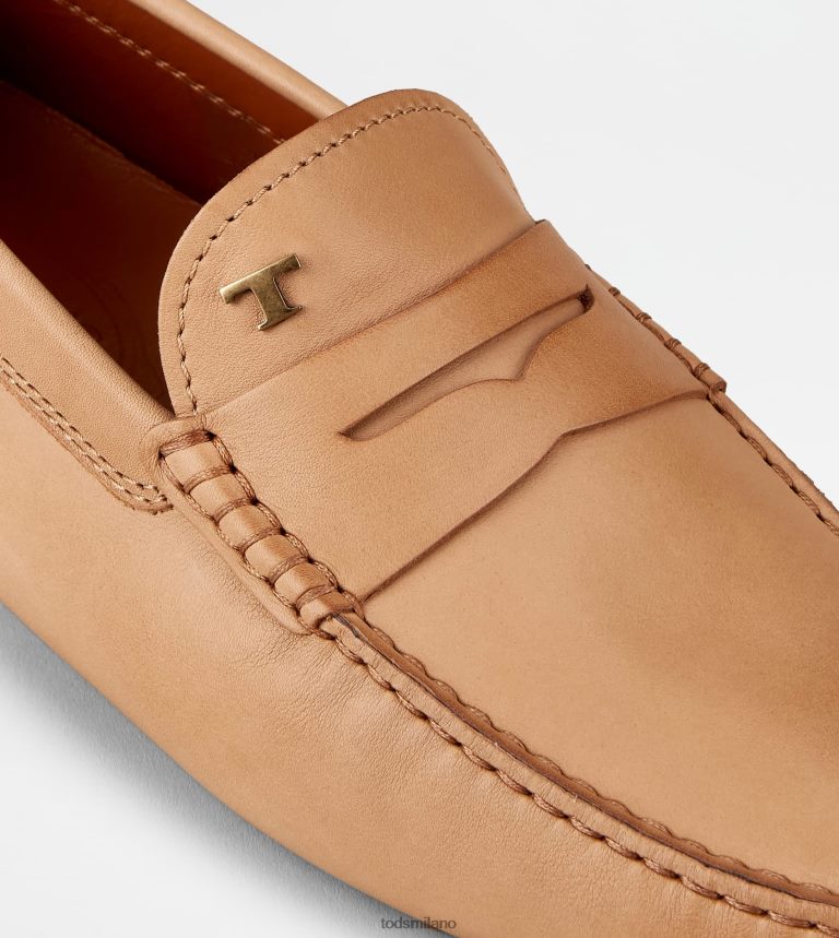 uominibeige Tod's gommino mocassino in pelle P66X8B729