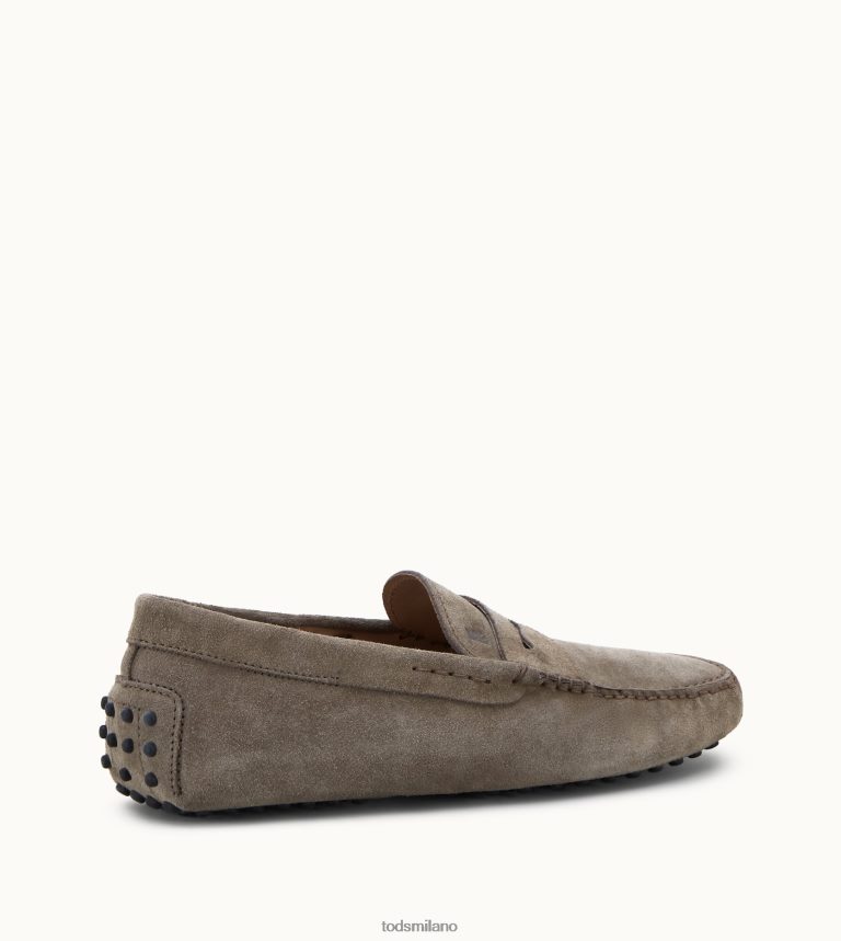 uominibeige Tod's gommino mocassino in pelle scamosciata P66X8B735