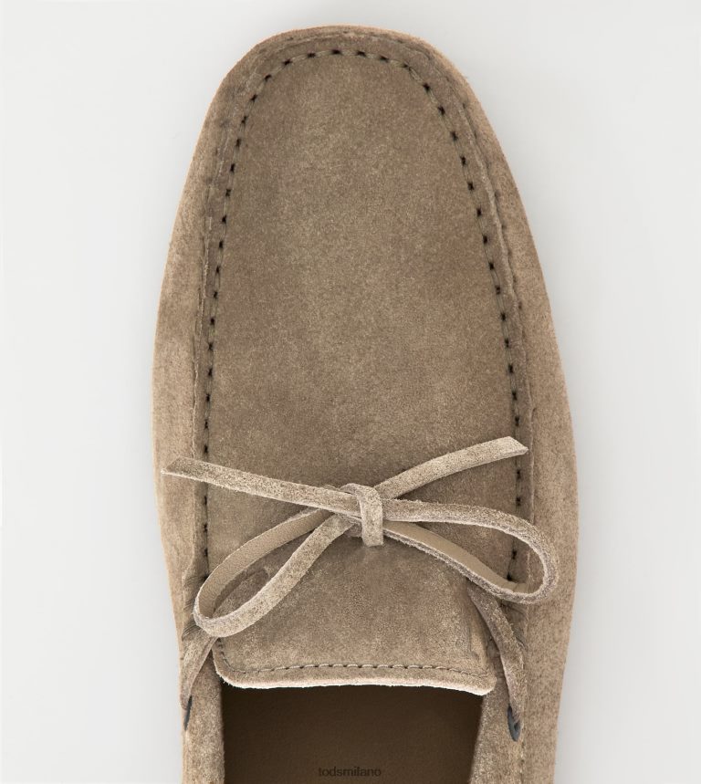 uominibeige Tod's gommino mocassino in pelle scamosciata P66X8B741