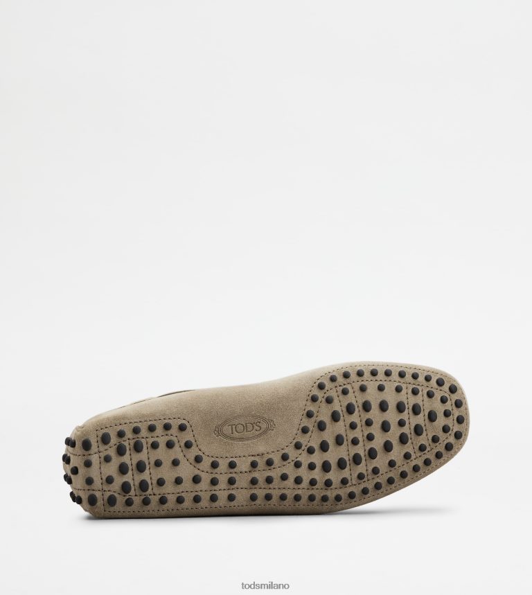 uominibeige Tod's gommino mocassino in pelle scamosciata P66X8B741