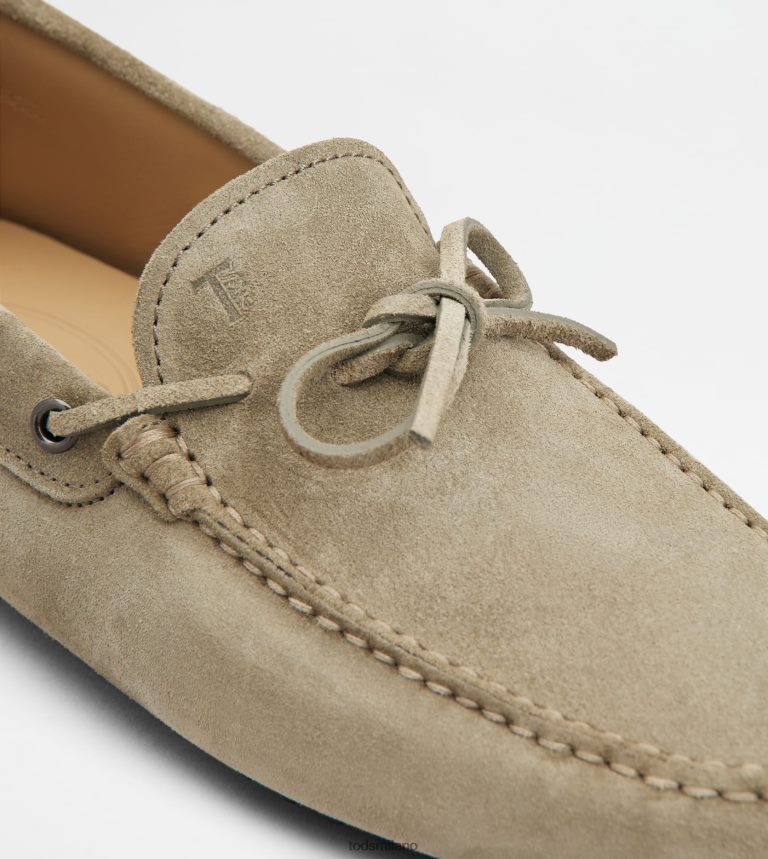 uominibeige Tod's gommino mocassino in pelle scamosciata P66X8B741