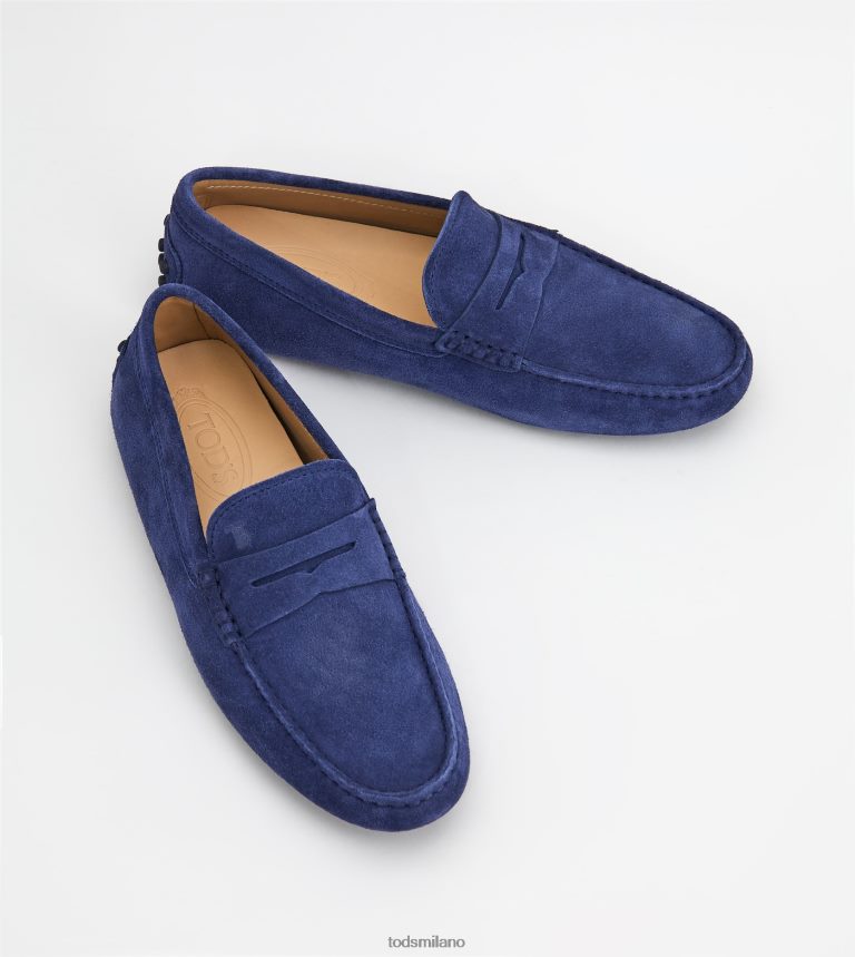 uominiblu Tod's gommino mocassino in pelle scamosciata P66X8B737