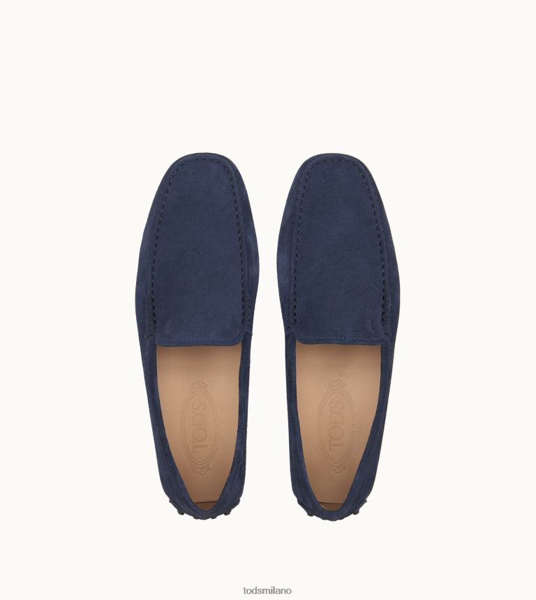 uominiblu Tod's gommino mocassino in pelle scamosciata P66X8B761