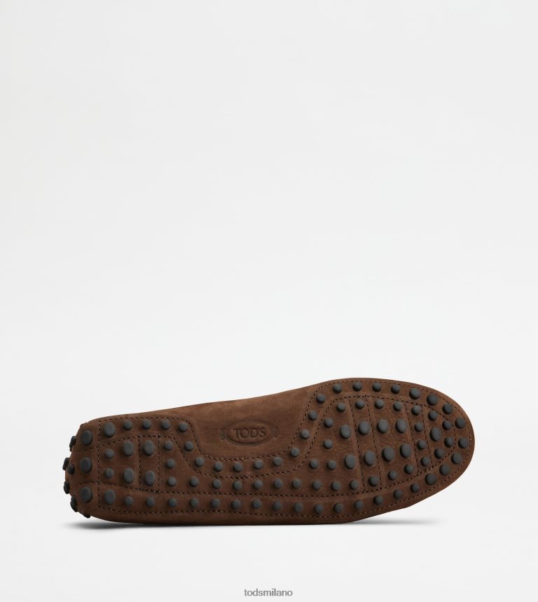 uominimarrone Tod's gommino mocassino in nabuk P66X8B724