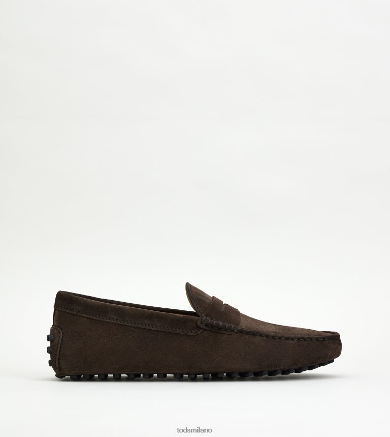 uominimarrone Tod's gommino mocassino in pelle scamosciata P66X8B734