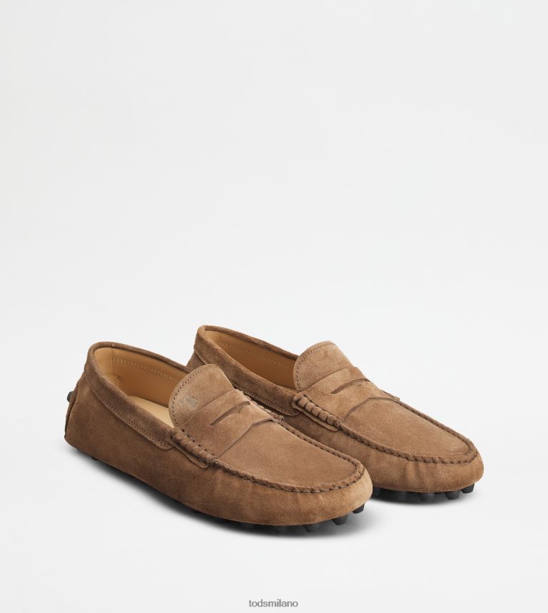 uominimarrone/grigio Tod's gommino a bolle in camoscio P66X8B713