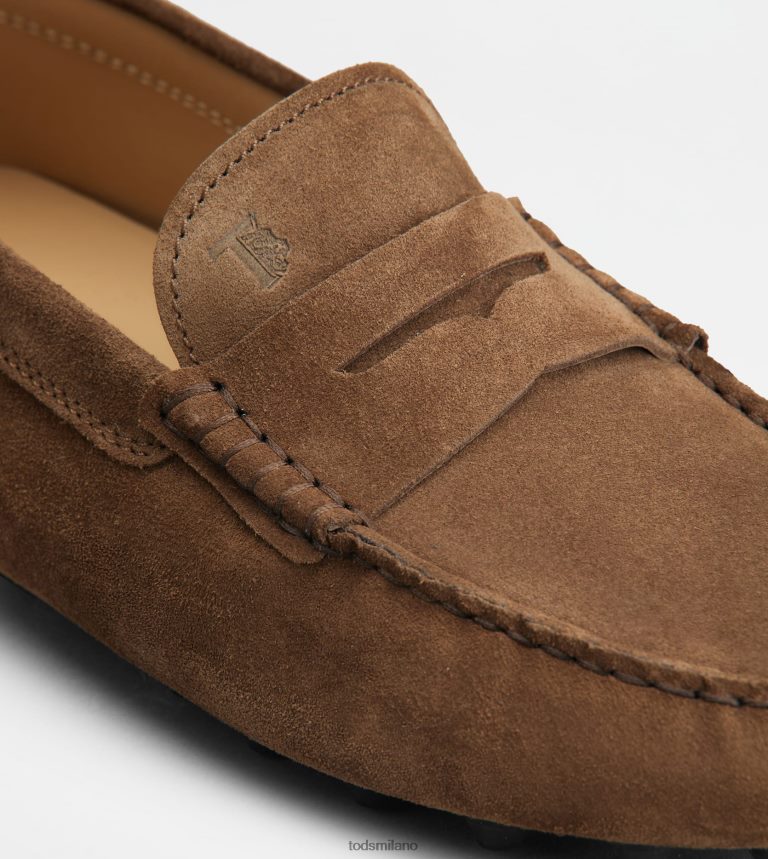uominimarrone/grigio Tod's gommino a bolle in camoscio P66X8B713