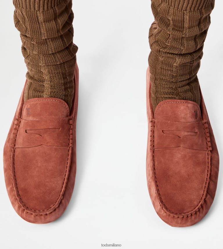 uominirosso marrone Tod's gommino a bolle in camoscio P66X8B712