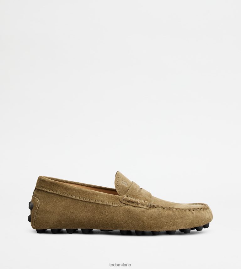 uominiverde/grigio Tod's gommino a bolle in camoscio P66X8B716
