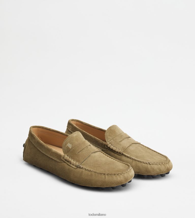 uominiverde/grigio Tod's gommino a bolle in camoscio P66X8B716