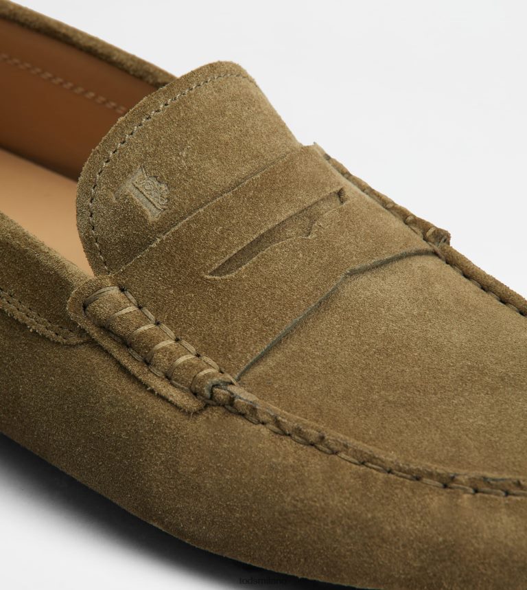 uominiverde/grigio Tod's gommino a bolle in camoscio P66X8B716